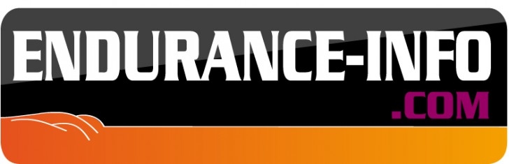 Logo EI