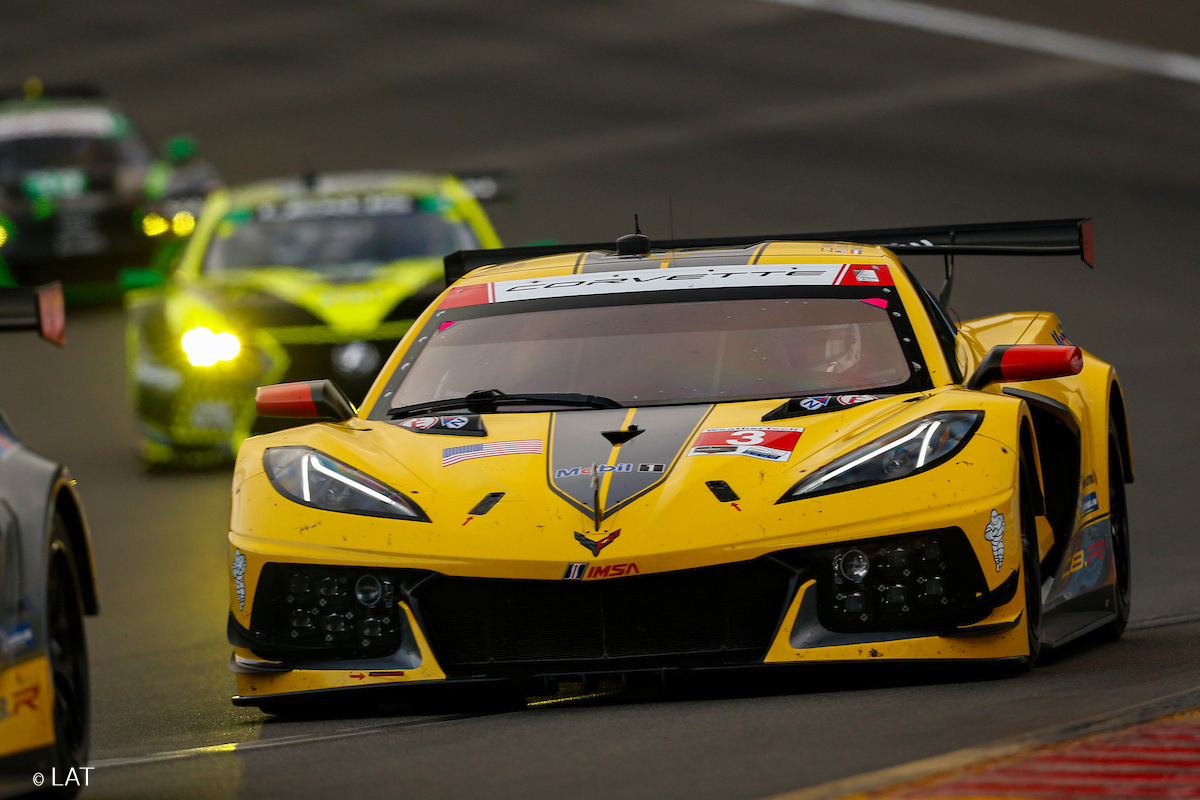 Corvette IMSA 2021